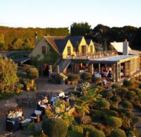The mudbrick building and French Potager gardens at Mudbrick Vineyard.