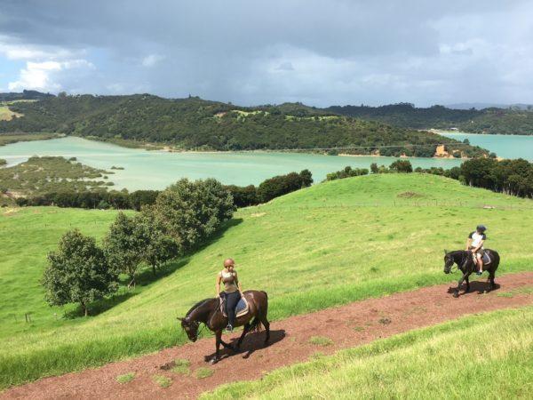 Exploring Te Matuku Bay Waiheke on horseback