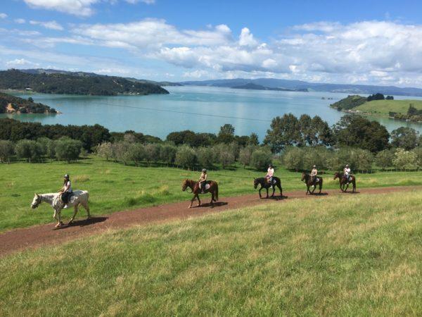 panoramic view of horse trek with Te Matuku Bay in the background at Waiheke