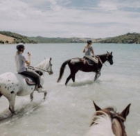 Horses riding knee-deep in water at Waiheke