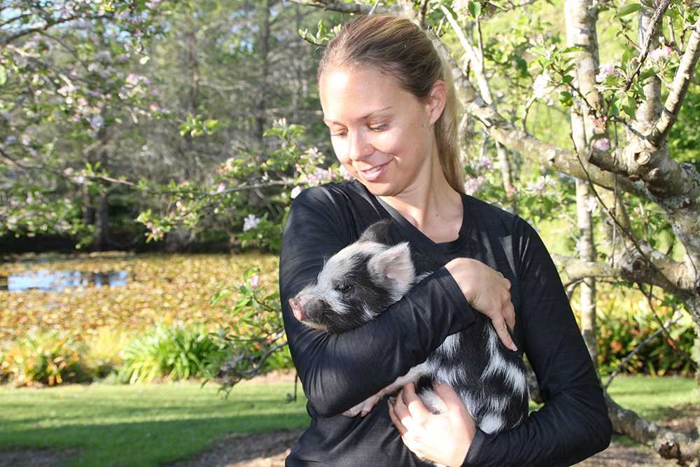 Sofia Ambler with pigs